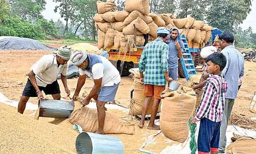 Bonus for Paddy: వడ్లకు రూ.500 బోనస్ కావాలంటే రైతులు ఈ నిబంధనలు పాటించాల్సిందే..!