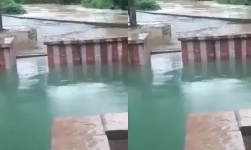 కర్నూలు జిల్లా కాల్వబుగ్గ రామేశ్వర దేవాలయం వద్ద  అద్భుత దృశ్యం