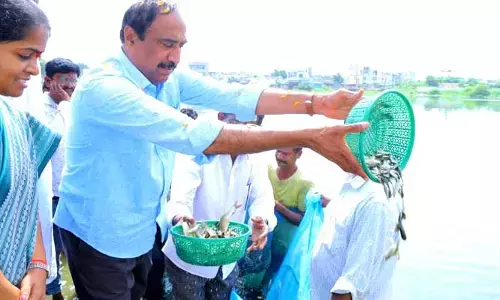 గంగపుత్రుల ఆర్థిక అభివృద్ధికి కృషి