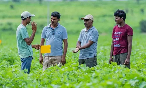 Organic Farming: యువత కోసం ఆర్గానిక్ ఫార్మింగ్‌లో 3 నెలల శిక్షణ.. ఎలా అప్లై చేసుకోవాలంటే?