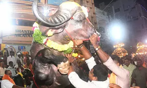 సదర్ ఉత్సవాల్లో కీలక మార్పులు.. మాజీ ఎంపీ ప్రకటన