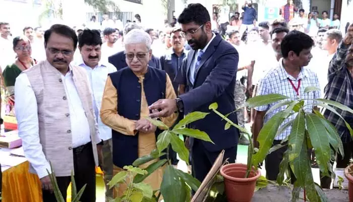మారుమూల గిరిజనులకు అభివృద్ధి ఫలాలు అందాలి మారుమూల గిరిజనులకు అభివృద్ధి ఫలాలు అందాలి