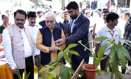 మారుమూల గిరిజనులకు అభివృద్ధి ఫలాలు అందాలి