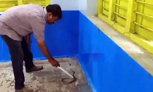 Snake: స్కూల్లో పాము హల్‌చల్.. హడలిపోయిన విద్యార్థులు