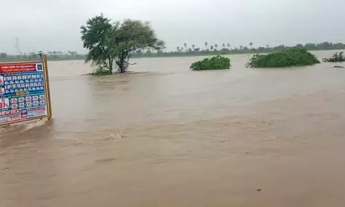 Compensation : పరిహారం....ఫలహారం