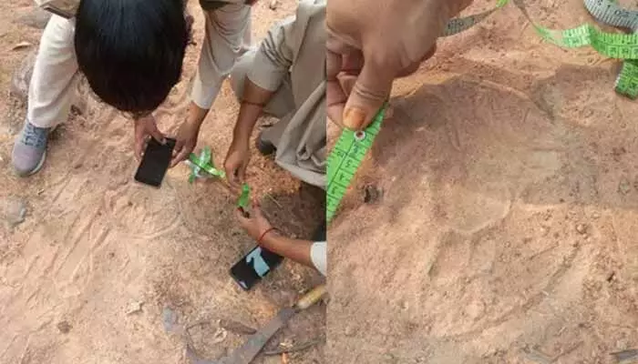 Mancherial News : హాజీపూర్ లో పెద్దపులి కలకలం Mancherial News : హాజీపూర్ లో పెద్దపులి కలకలం