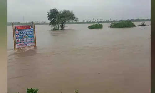 AEO : తప్పయింది.. ఈ ఒక్కసారి క్షమించండి..