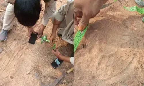 Mancherial News : హాజీపూర్ లో పెద్దపులి కలకలం