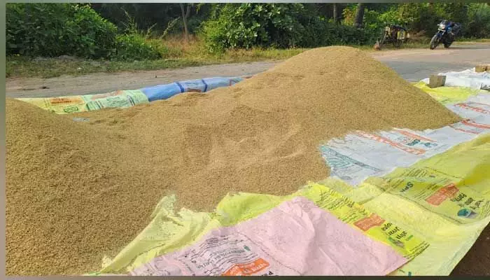 Thieves : వడ్ల కుప్పలను మాయం చేస్తున్న దొంగలు.. Thieves : వడ్ల కుప్పలను మాయం చేస్తున్న దొంగలు..