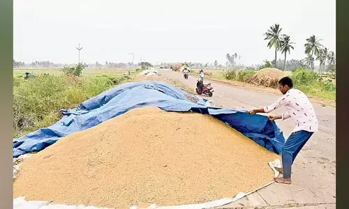 purchase centers : ధాన్యం రైతు గోస.. కొనుగోళ్లలో నిర్లక్ష్యం.. అన్నదాతకు శాపం..