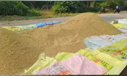 Thieves : వడ్ల కుప్పలను మాయం చేస్తున్న దొంగలు..