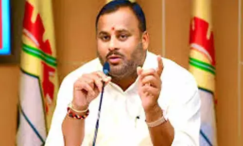 Minister Ramprasad Reddy:రాష్ట్ర ప్రజలందరికీ దీపావళి శుభాకాంక్షలు