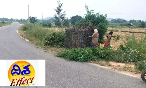 Disha effect:దిశ ఎఫెక్ట్...రోడ్డుకు అడ్డంగా ఉన్న పిచ్చిమొక్కలు తొలగింపు