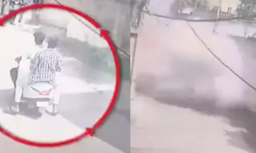 Onion Bombs: ఏలూరులో దారుణం.. పేలిన ఉల్లిపాయ బాంబుల బస్తా.. ముక్కలైన శరీరం