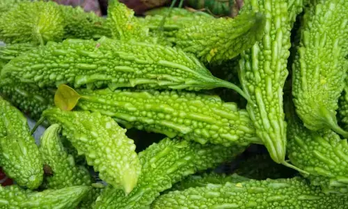 Bitter Gourd : రుచిలో చేదు.. ఆరోగ్యానికి మేలు.. ఈ కూరగాయ గురించి తెలిస్తే అస్సలు వదలరు!