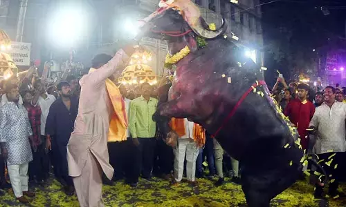 Sadar Celebrations : హైదరాబాద్ లో ఘనంగా సదర్ ఉత్సవాలు