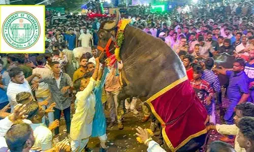 Sadar Sammelan : యాదవులకు ప్రభుత్వం గుడ్ న్యూస్.. ఇకపై రాష్ట్ర పండుగగా సదర్ సమ్మేళనం