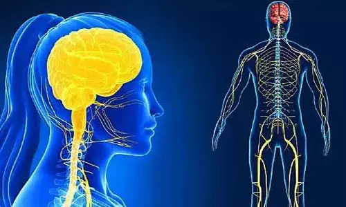 నరాలు బలహీనంగా ఉన్నాయా? మీరు తినాల్సిన ఫుడ్స్ ఇవే..?