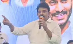 మేమంతా పవన్ కల్యాణ్ కొడుకులమా? మాజీ మంత్రి పేర్ని నాని ఫైర్ మేమంతా పవన్ కల్యాణ్ కొడుకులమా? మాజీ మంత్రి పేర్ని నాని ఫైర్
