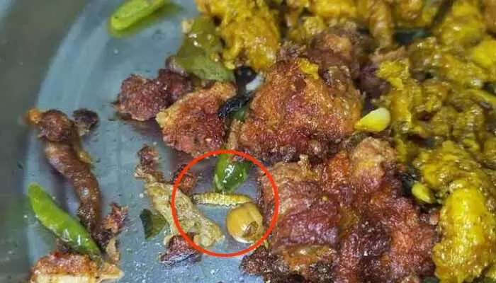Swiggy: చికెన్ ఫ్రై లో పురుగు.. ప్రజల ఆరోగ్యంతో చెలగాటమా ? Swiggy: చికెన్ ఫ్రై లో పురుగు.. ప్రజల ఆరోగ్యంతో చెలగాటమా ?