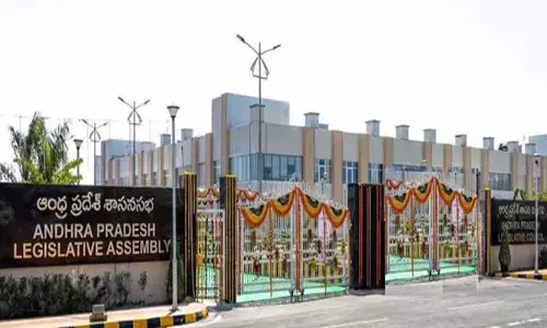 AP Budget: ఏపీ బడ్జెట్ పై ఆశలు.. వీటికే ప్రాధాన్యం?