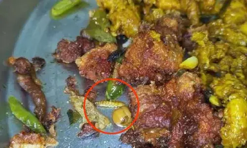 Swiggy: చికెన్ ఫ్రై లో పురుగు.. ప్రజల ఆరోగ్యంతో చెలగాటమా ?
