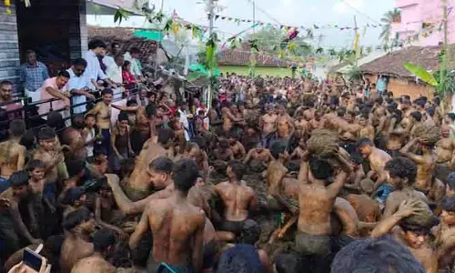 Cow Dung: జల్లికట్టు, సదర్ సమ్మేళనం చూశాం.. పండక్కి ఈ పేడతో కొట్టుకోవడం ఏందయ్యా..