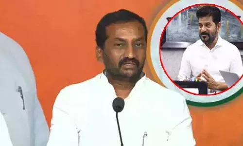 MP Raghunandan Rao: సీఎం రేవంత్ రెడ్డి జోక్యం చేసుకోండి.. ఎంపీ రఘునందన్ రావు