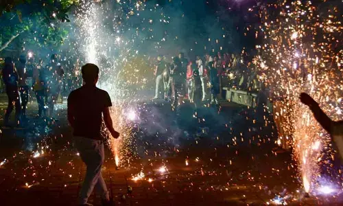 Supreme Court: దీపావళి వేళ క్రాకర్స్‌ అధికంగా పేల్చడంపై సుప్రీంకోర్టు ఫైర్