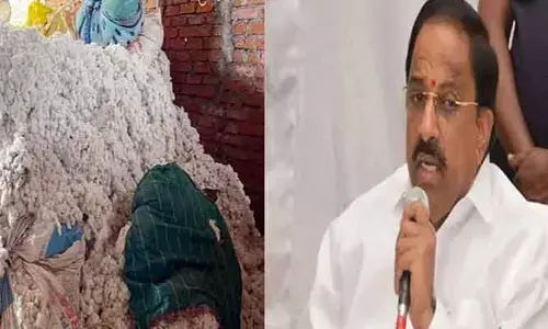 Minister Thummala: పత్తి కొనుగోలు నిబంధనలు సడలించాలి.. కేంద్ర మంత్రికి తుమ్మల లేఖ