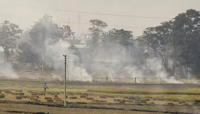 Stuble burning: పంట వ్యర్థాల దహనం.. రైతుల జరిమానా భారీగా పెంపు Stuble burning: పంట వ్యర్థాల దహనం.. రైతుల జరిమానా భారీగా పెంపు