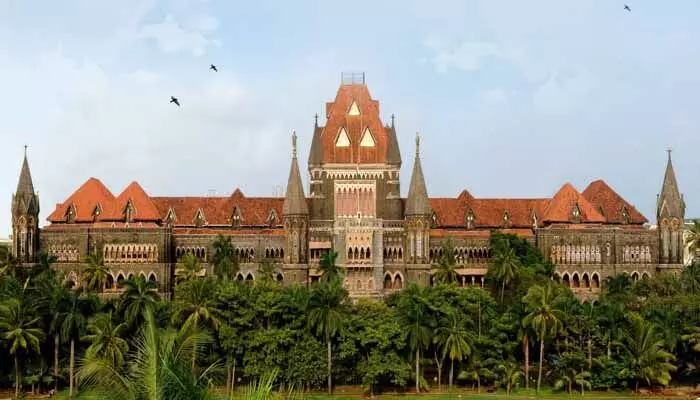 Bombay High Court: నామినేషన్లపై ట్యూటోరియల్స్ పెట్టండి Bombay High Court: నామినేషన్లపై ట్యూటోరియల్స్ పెట్టండి