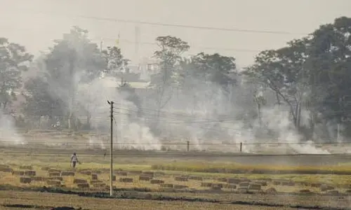 Stuble burning: పంట వ్యర్థాల దహనం.. రైతుల జరిమానా భారీగా పెంపు