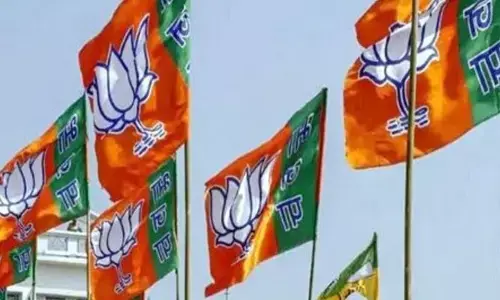 BJP: నవంబర్ 22న ఢిల్లీలో బీజేపీ జాతీయ వర్క్‌షాప్