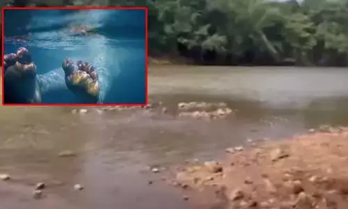 AP Tragedy: ఏపీలో విషాదం.. వాగులో మునిగి నలుగురు మృతి