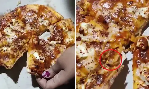 Live Worms in Pizza : పిజ్జాలో బతికున్న పురుగులు.. కంగుతిన్న కస్టమర్! ఎక్కడంటే?