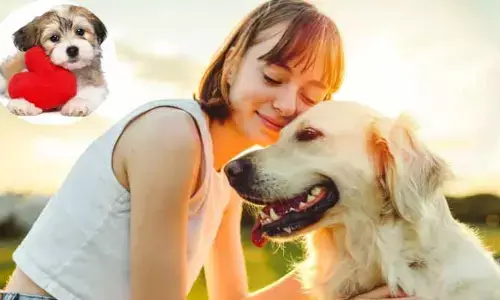 Pet dogs : తోడుగా ఓ కుక్క ఉంటే.. మీ గుండె పదిలమే!!