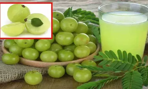 Amla : ఔషధ గుణాల ఉసిరి.. చలికాలంలో తింటే ఎన్ని ప్రయోజనాలో చూడండి!