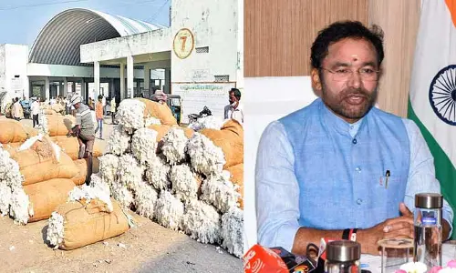 BJP: పత్తి కొనుగోళ్లకు లైన్ క్లియర్.. కిషన్ రెడ్డి చొరవతో తొలగిన ప్రతిష్టంభన
