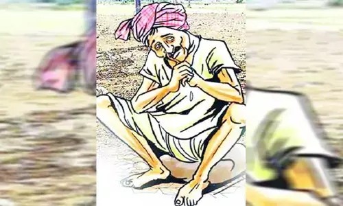 చేలో పంట.. మార్కెట్లో ధర లేక మంట!