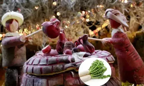 Radish Festival : ముల్లంగి సంబురం.. అక్కడ చాలా స్పెషల్ గురూ!