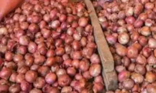 Onion Price: ఉల్లి ధరల కట్టడికి బఫర్ స్టాక్ విడుదల చేయనున్న కేంద్రం