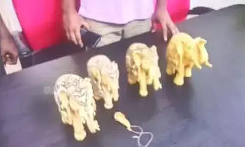 Elephant figurines : నాలుగు ఏనుగు బొమ్మల విలువ 1.75 కోట్లు..!