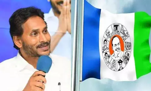 YSRCP: వైసీపీ రాష్ట్ర కో-ఆర్డినేటర్‌గా పార్టీ కీలక నేత.. జగన్ ఆదేశాలు