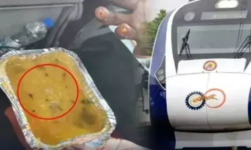 Vande bharat Train: వందే భారత్ రైలు భోజనంలో కీటకాలు.. స్పందించిన రైల్వే శాఖ