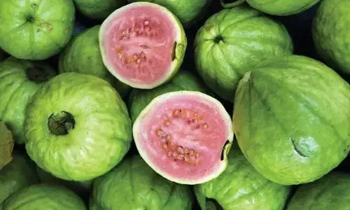 Vitamin C: విటమిన్ సి పుష్కలంగా ఉండే ఫుడ్స్ ఇవే..!