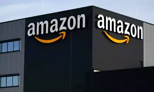 Amazon India: తక్కువ ఖరీదైన వస్తువుల అమ్మకాలపై రెఫరల్ ఫీజు మాఫీ చేసిన అమెజాన్