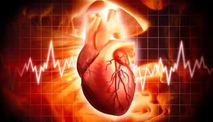 HeartBeat: ఆగిన గుండె.. 90 నిమిషాల తర్వాత మళ్లీ స్పందన HeartBeat: ఆగిన గుండె.. 90 నిమిషాల తర్వాత మళ్లీ స్పందన