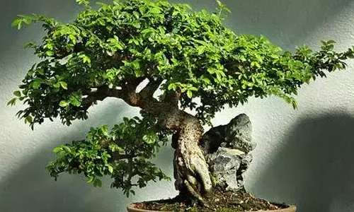 Business Idea: తక్కువ పెట్టుబడితో ఎక్కువ డబ్బు సంపాదించాలనుకుంటున్నారా..?