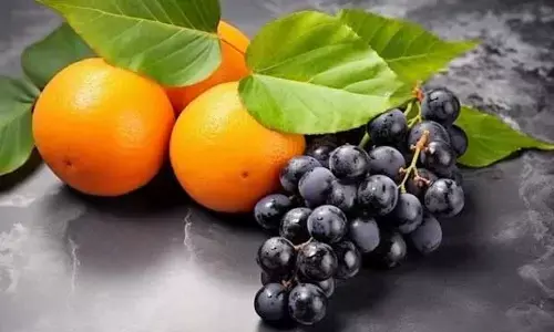 Healthy Fruits : వింటర్‌లో దగ్గు, కఫం వేధిస్తున్నాయా..? ఇవి తింటే దెబ్బకు పరార్ !